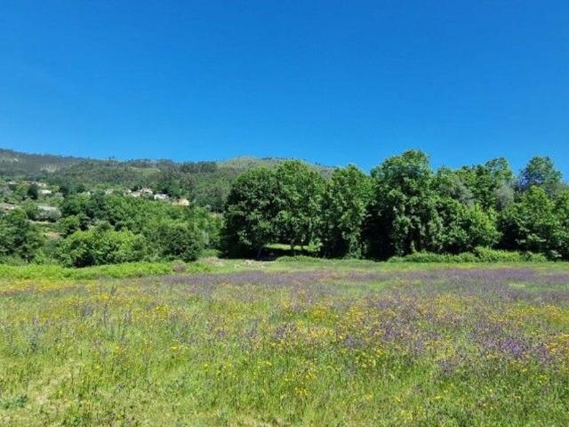 Terreno, Cantelães