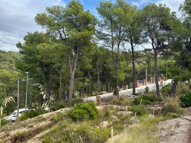 Terreno, Canyelles