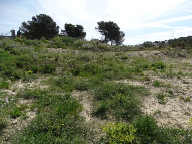 Terreno, Canyelles