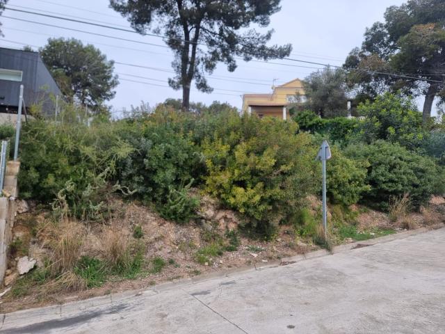 Terreno, Canyelles