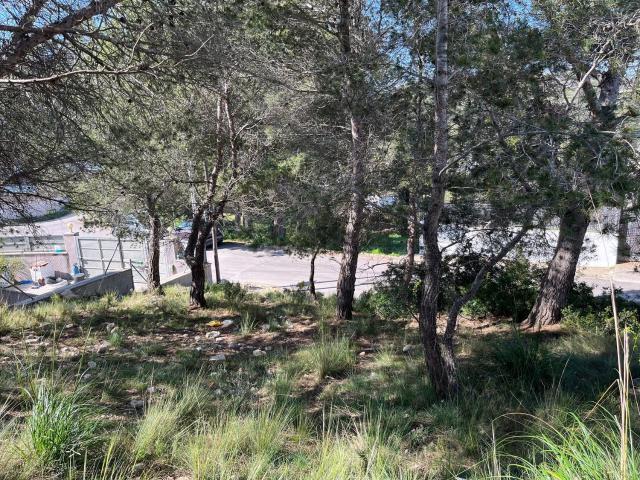 Terreno, Canyelles