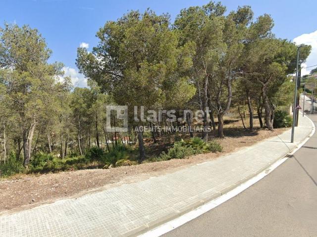 Terreno, Canyelles