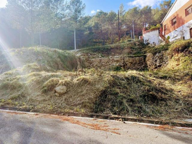 Terreno, Canyelles