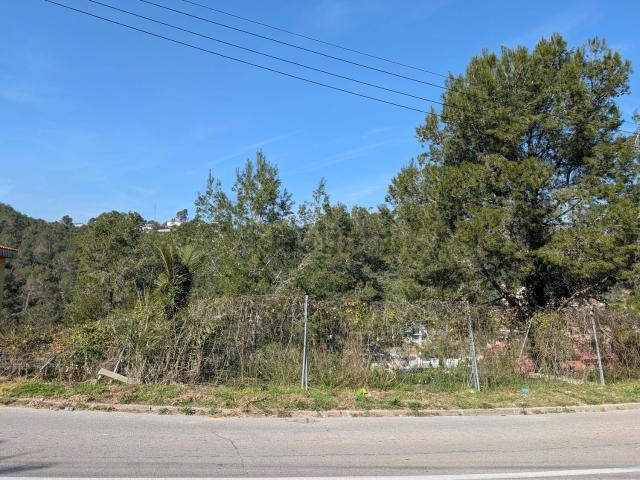 Terreno, Canyelles