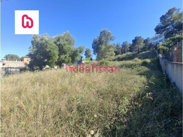 Terreno, Canyelles