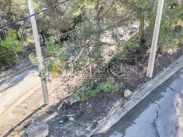 Terreno, Canyelles