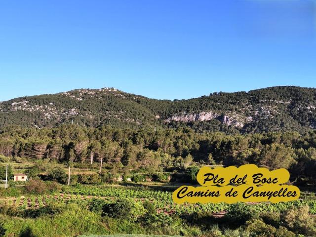 Terreno, Canyelles