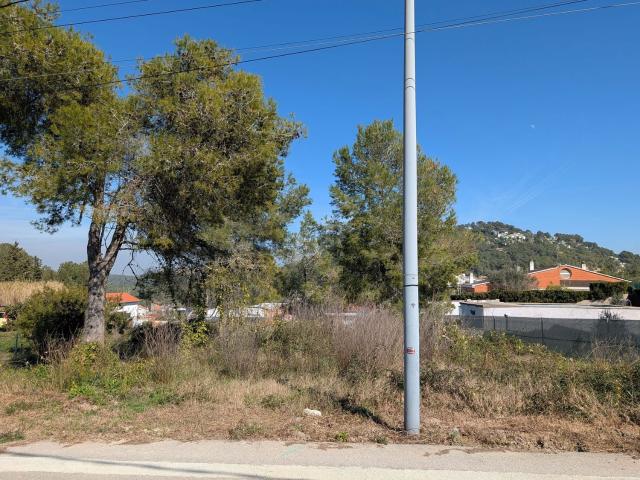 Terreno, Canyelles