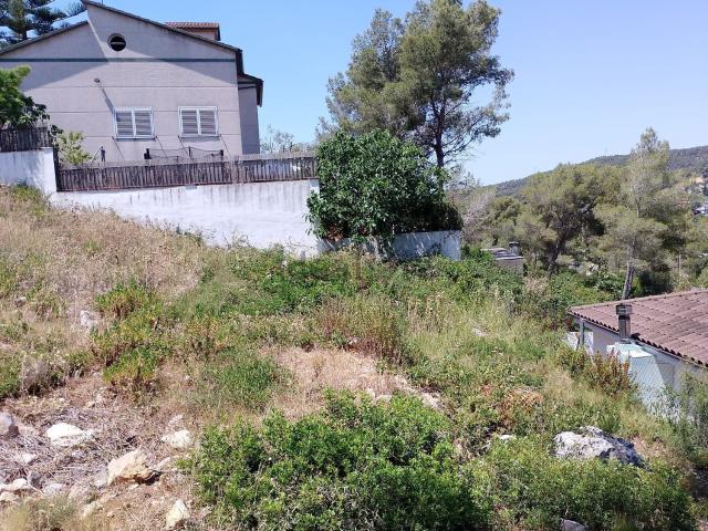 Terreno, Canyelles