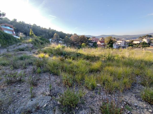 Terreno, Canyelles
