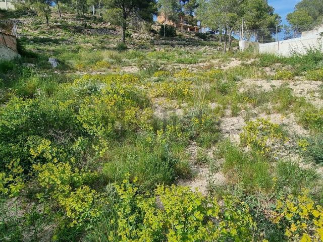 Terreno, Canyelles