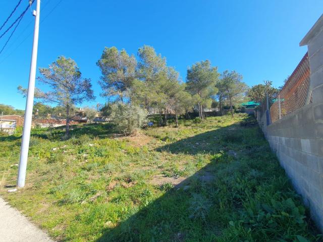 Terreno, Canyelles