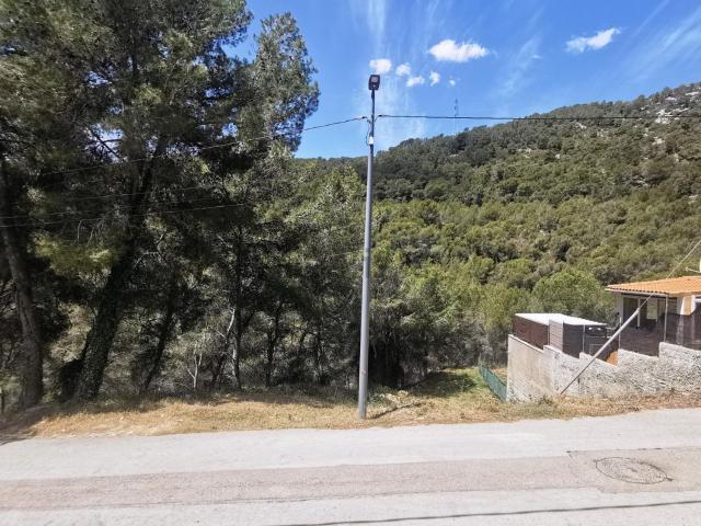 Terreno, Canyelles
