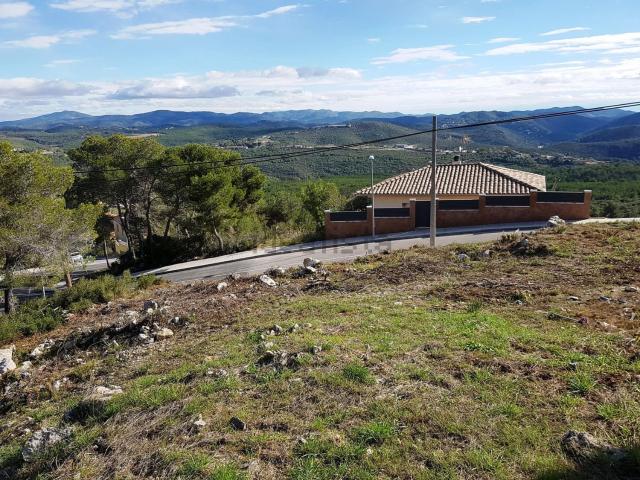Terreno, Canyelles