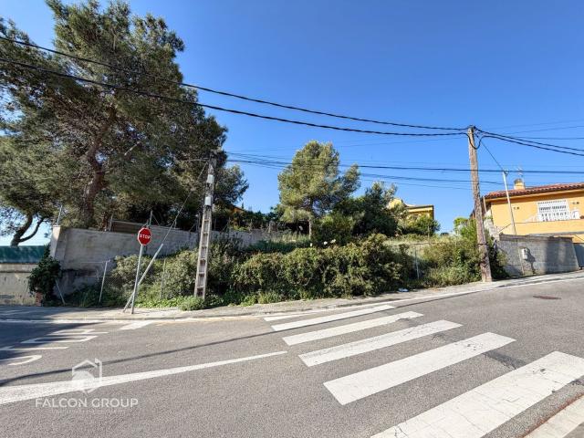 Terreno, Canyelles