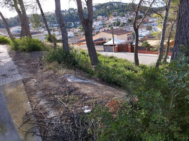 Terreno, Canyelles
