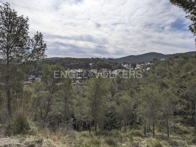 Terreno, Canyelles