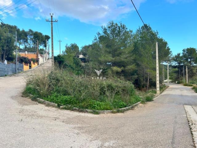 Terreno, Canyelles