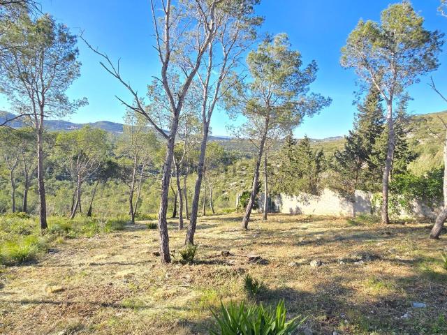 Terreno, Canyelles