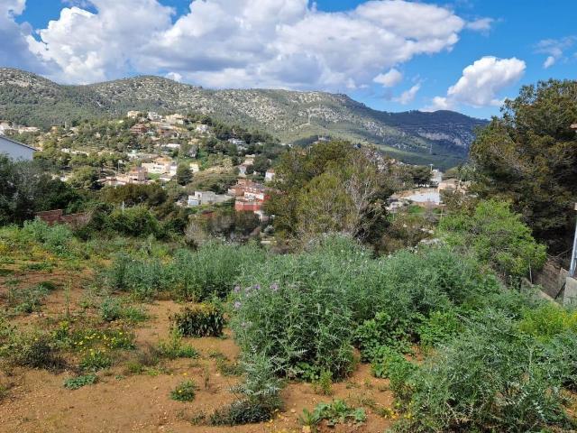 Terreno, Canyelles