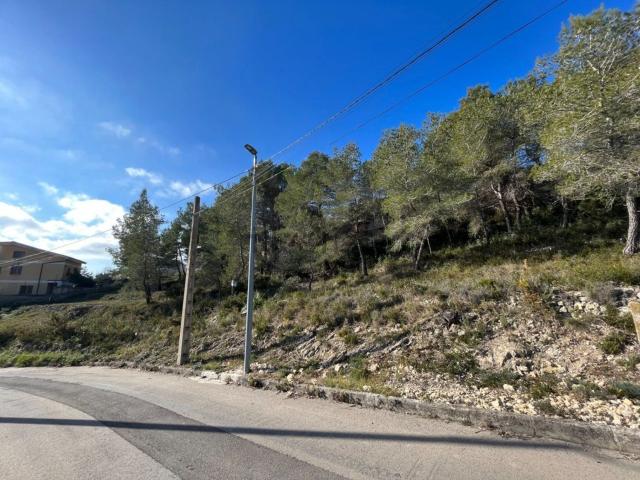 Terreno, Canyelles