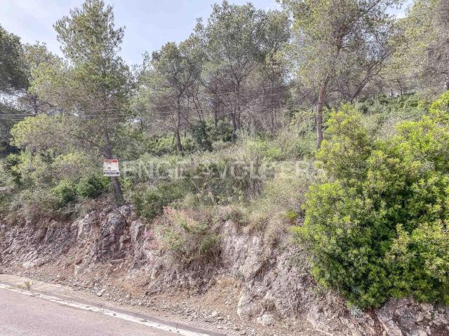 Terreno, Canyelles