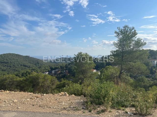 Terreno, Canyelles