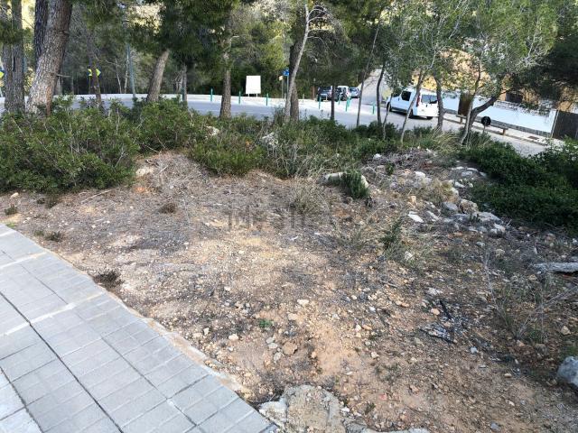 Terreno, Canyelles
