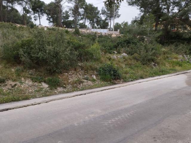 Terreno, Canyelles