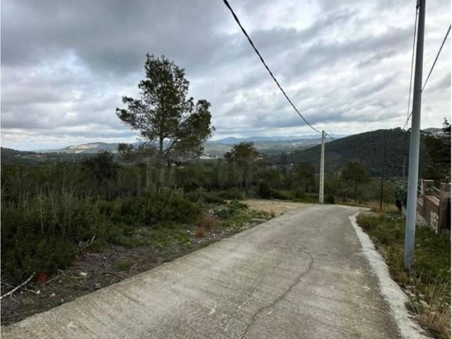 Terreno, Canyelles