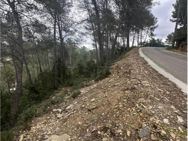 Terreno, Canyelles