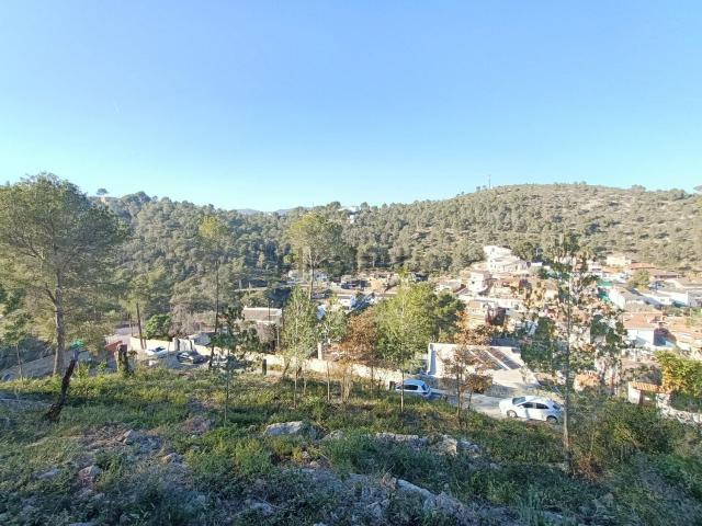 Terreno, Canyelles