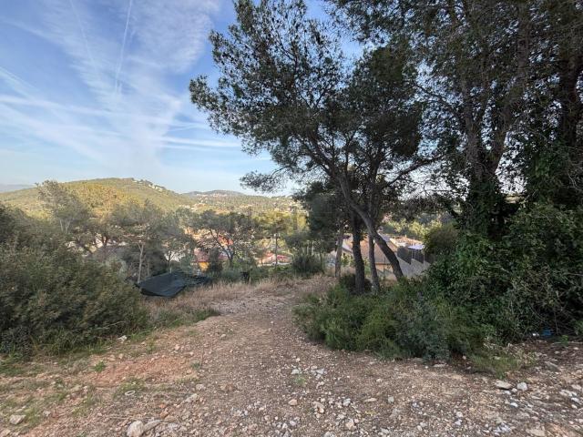 Terreno, Canyelles