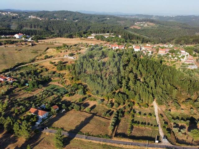 Terreno, Casais e Alviobeira