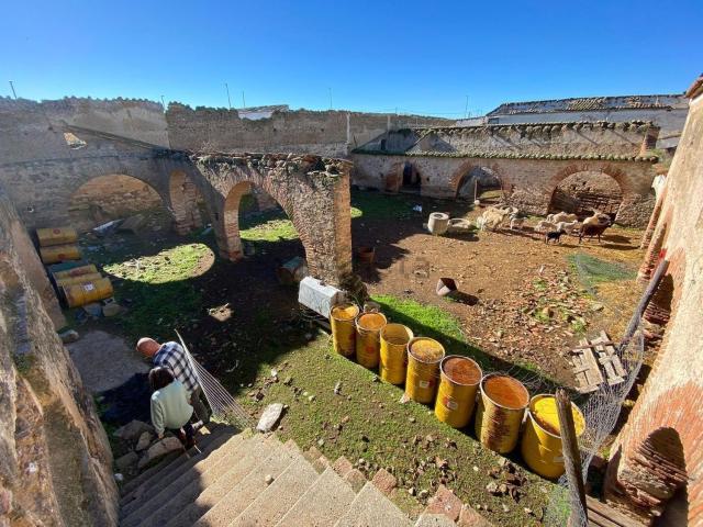 Terreno, Casar de Cáceres