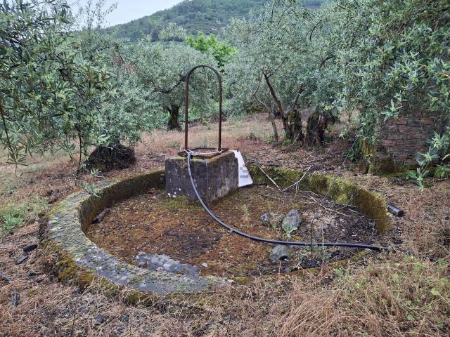Terreno, Casar de Palomero