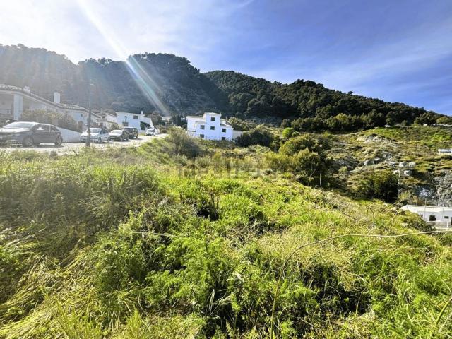 Terreno, Casarabonela