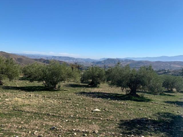 Terreno, Casarabonela