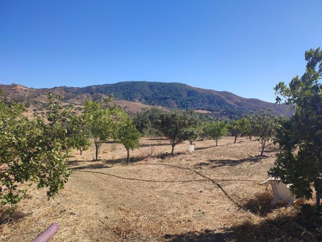 Terreno, Casarabonela