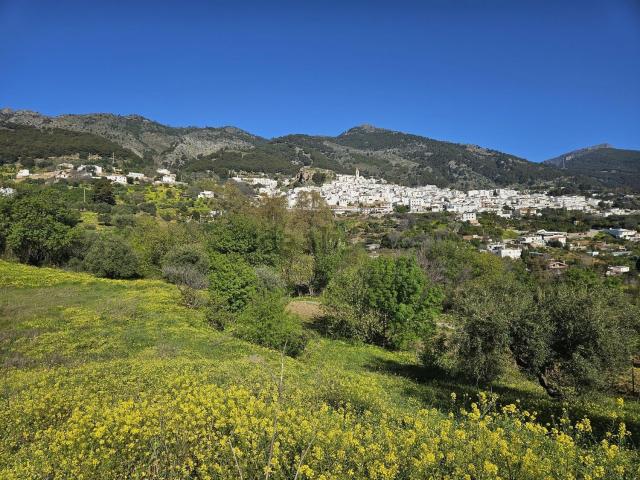 Terreno, Casarabonela