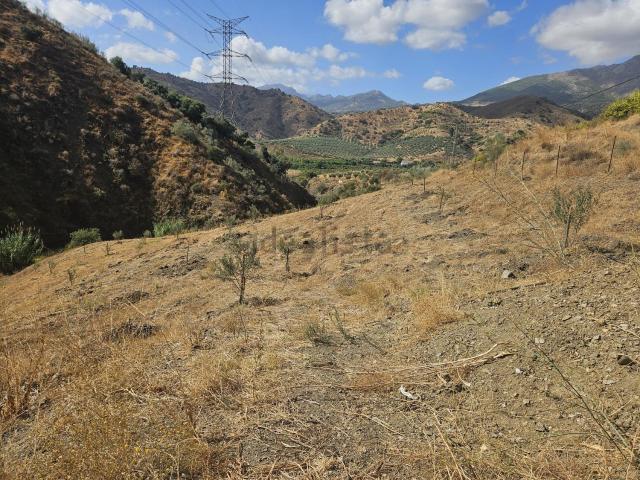 Terreno, Casarabonela