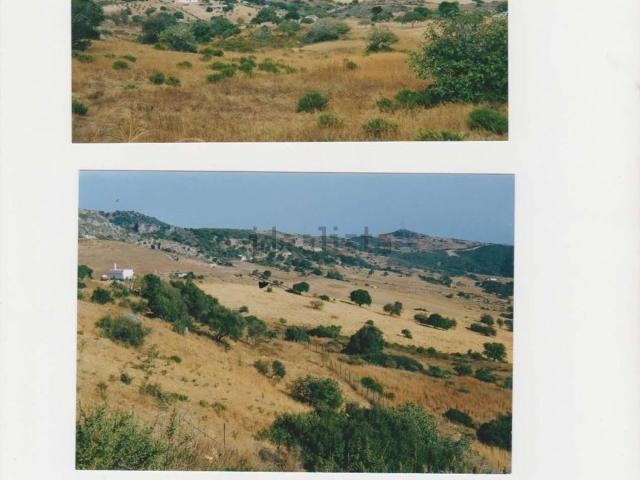 Terreno, Casares
