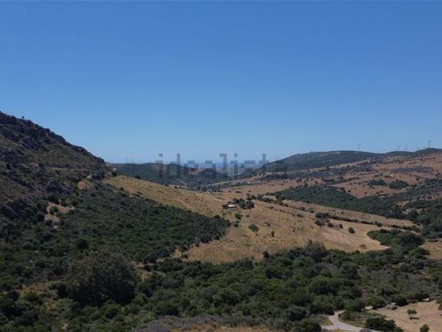 Terreno, Casares