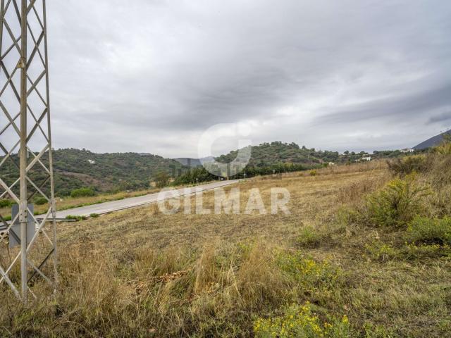 Terreno, Casares