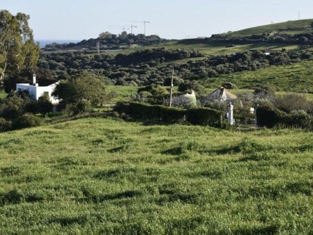 Terreno, Casares
