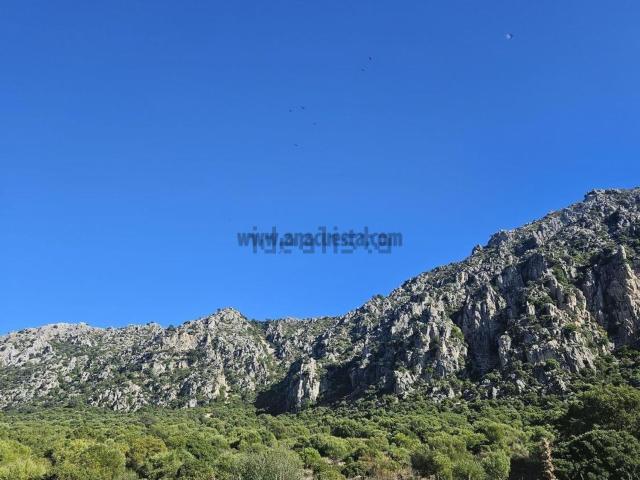 Terreno, Casares