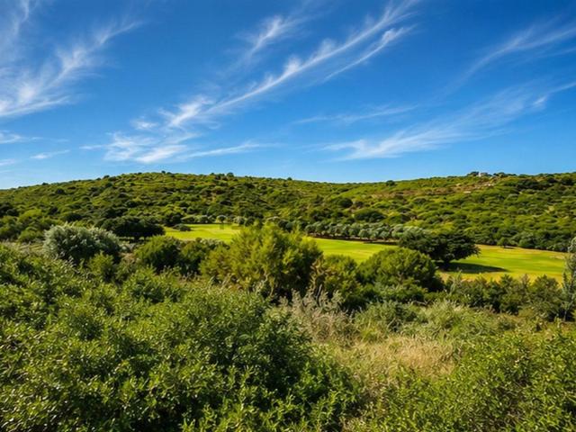 Terreno, Casares