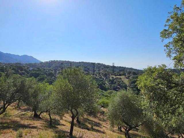 Terreno, Casares