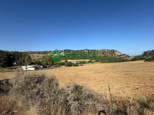 Terreno, Casares