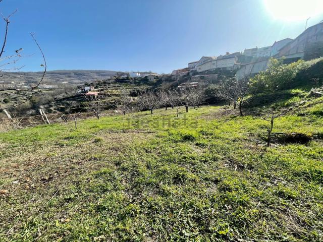 Terreno, Casas del Castañar